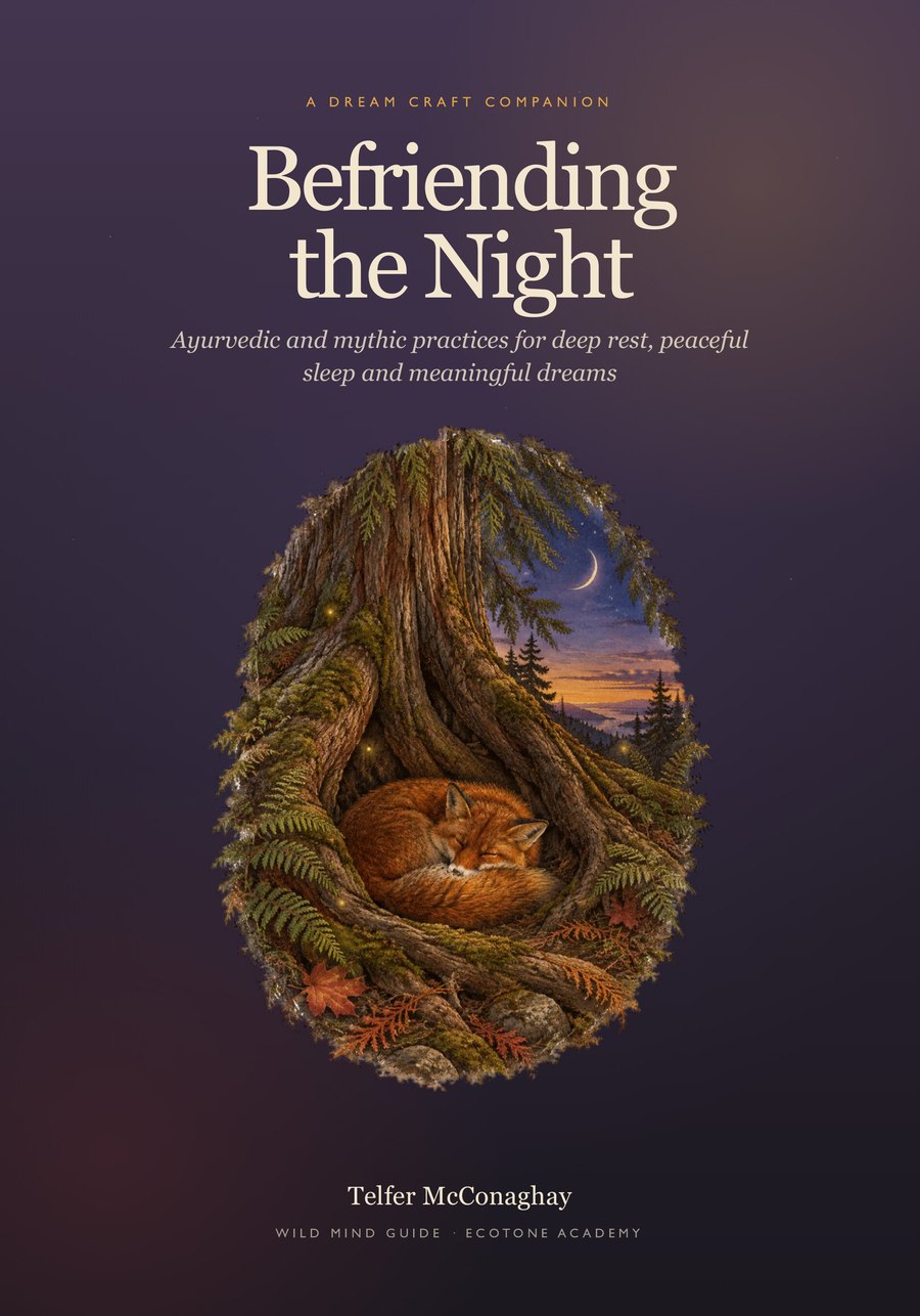 The cover of Befriending the Night: a fox asleep in the roots of a cedar under a crescent moon